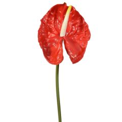 Real Touch Anthurium Stem 27.5" - Red
