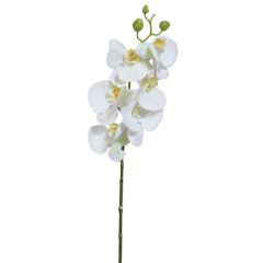 Real Touch Phalaenopsis Orchid Spray 30" - White