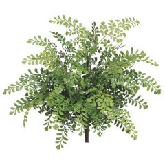 UV-Protected Maidenhair Fern Bush x9, 19" - Green