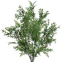 Mini Ficus Bush x9, 19.5" - Green