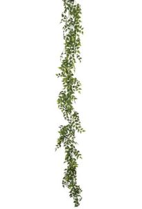Ruscus Garland 6' - Green