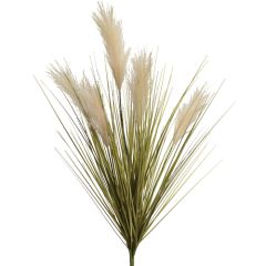 Pampas Grass Bush x5, 28" - Cream