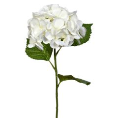 Premium Hydrangea Stem 25" - White