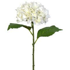 Premium Hydrangea Stem 21" - White