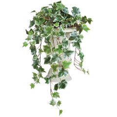 PWHI144-  Our hedera ivy bush includes 13 stems at 22" long and is available in 3 colors. 