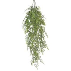 Hanging Maidenhair Fern Bush x5, 33" - Green