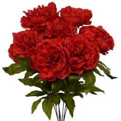 Peony Bush x7, 19" - Red