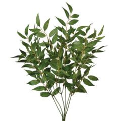Italian Ruscus Bush x6, 22" - Green