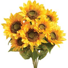 Premium Sunflower Bush x7, 20" - Yellow