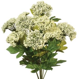 Queen Anne's Lace Bush in Cream- Small Image 