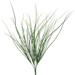 Bear Grass Bush x5, 20