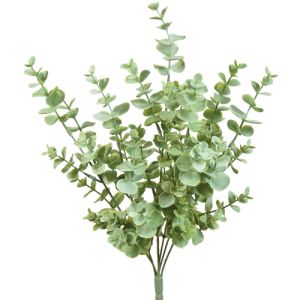 Eucalyptus Bush x6, 19