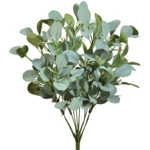 Seeded Silver Dollar Eucalyptus Bush x9, 18