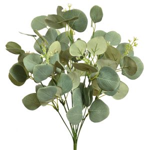 Silver Dollar Seeded Eucalyptus Bush x10, 18