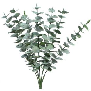Frosted Eucalyptus Bush x7, 15