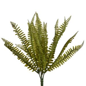 Fern Bush x7, 17