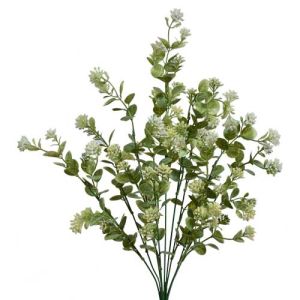 Sedum & Filler Bush x9, 22