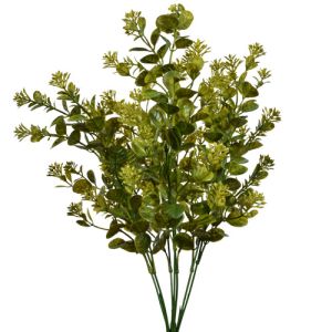Sedum & Filler Bush x7, 20
