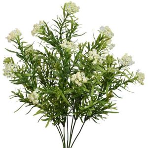 Sedum Bush x7, 18