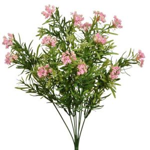 Sedum Bush x7, 18