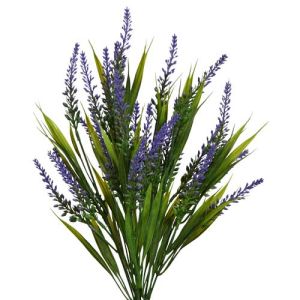 Lavender Bush x7, 18