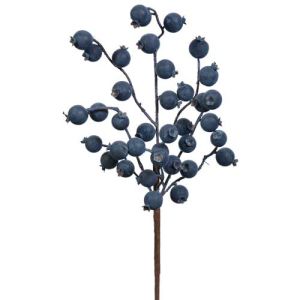 Berry Pick 14