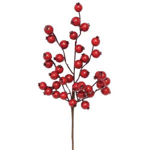 Berry Pick 14