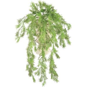 Hanging Springeri Bush 25 Inches in Green - Small Image