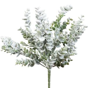 Snowy Eucalyptus Bush x7, 13