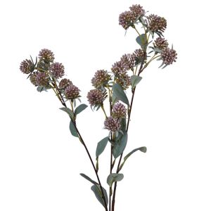 Berry Spray x3, 31