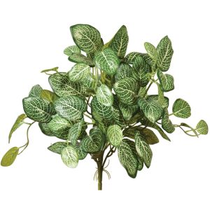 Silk Fittonia Bush 16 Inches in Green - Small Image