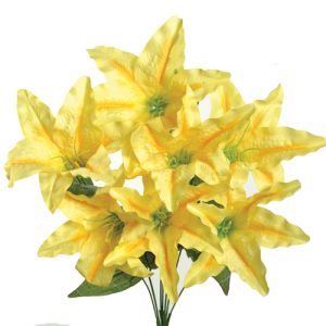 Tiger Lily Bush x7, 20