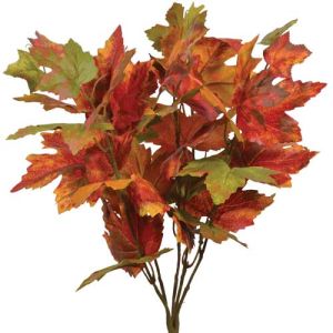Maple Leaf Bush x5, 16