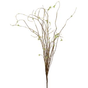 Willow Twig Spray x20, 35