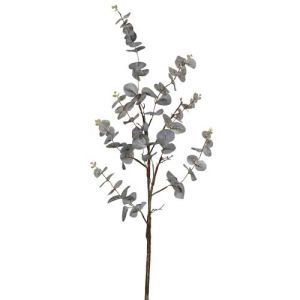 Eucalyptus Leaf Branch 44