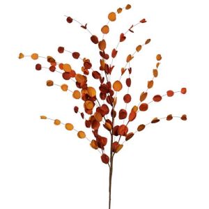 Eucalyptus Leaf Spray 34