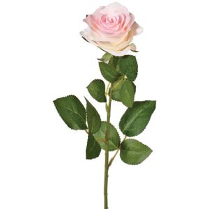 Silk Colorfast Elegant Open Rose Stem 25 Inches in Blush - Small Image