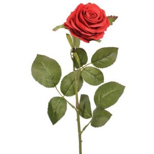 Colorfast Elegant Open Rose Stem 25