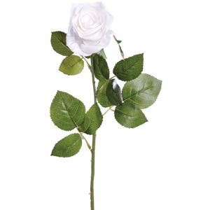 Silk Colorfast Elegant Open Rose Stem 25 Inches in White - Small Image