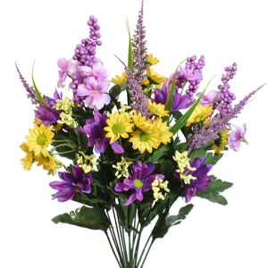 Colorfast Mixed Daisy Bush x14, 20