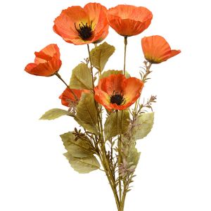 Mixed Poppy Bush x5, 20