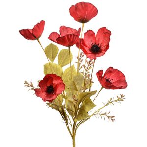 Mixed Poppy Bush x5, 20