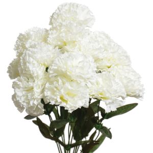 Carnation Bush 18