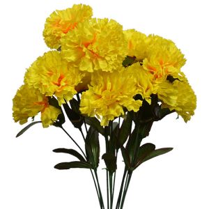 Carnation Bush x14, 18