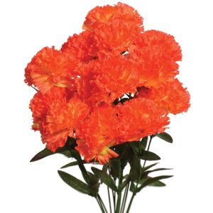 Carnation Bush 18