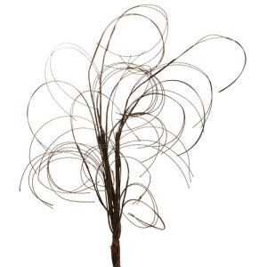 Twig Spray 28
