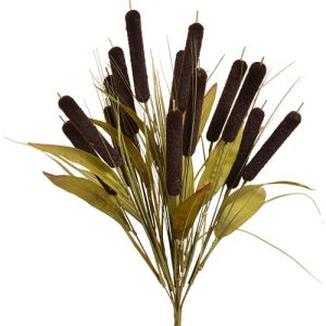 Cattail Bush in Dark Brown - Small Image