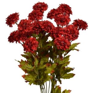 Mini Zinnia Bush x9, 17