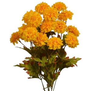 Mini Zinnia Bush x9, 17