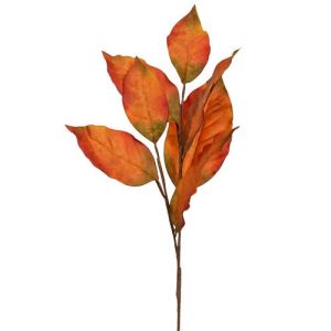 Magnolia Leaves Spray x7, 26